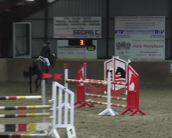 Reitturnier Behrendorf 2018