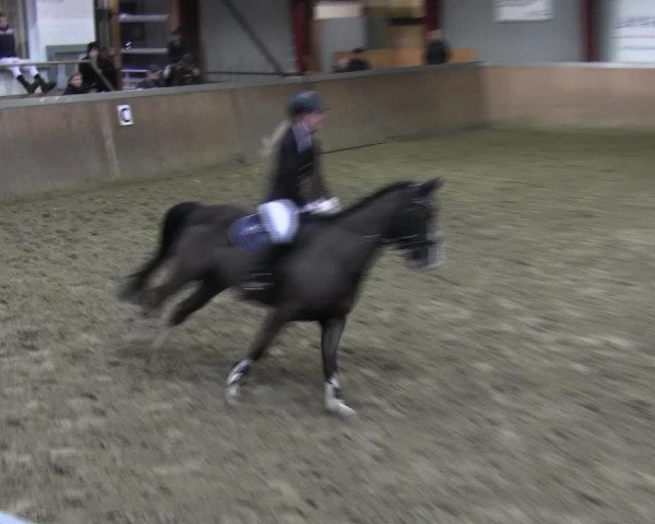 Reitturnier Behrendorf 2018