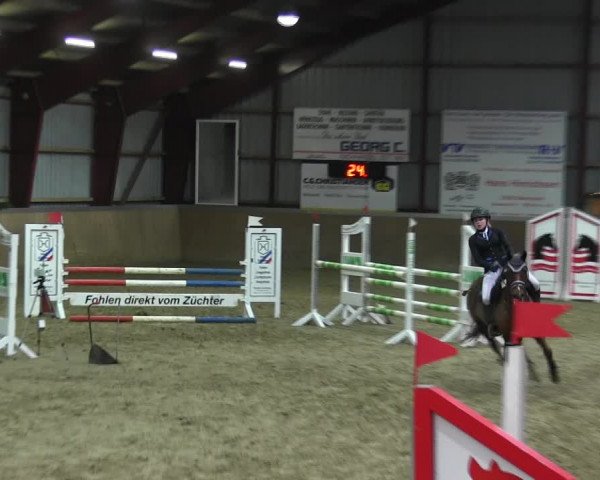 Reitturnier Behrendorf 2018