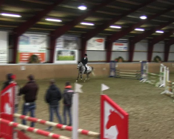 Reitturnier Behrendorf 2018
