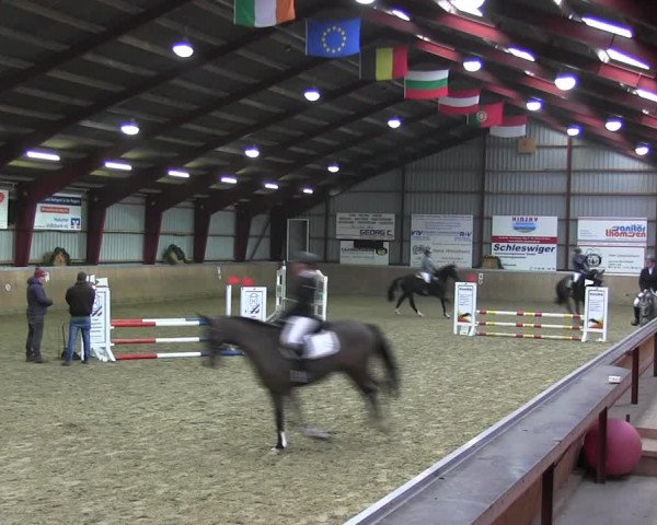 Reitturnier Behrendorf 2018