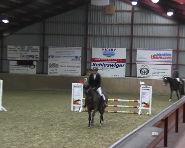 Reitturnier Behrendorf 2018