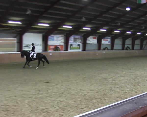 Reitturnier Behrendorf 2018
