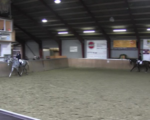 Reitturnier Behrendorf 2018