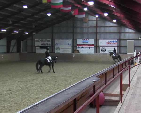 Reitturnier Behrendorf 2018