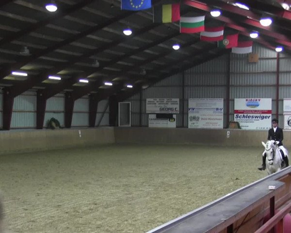 Reitturnier Behrendorf 2018