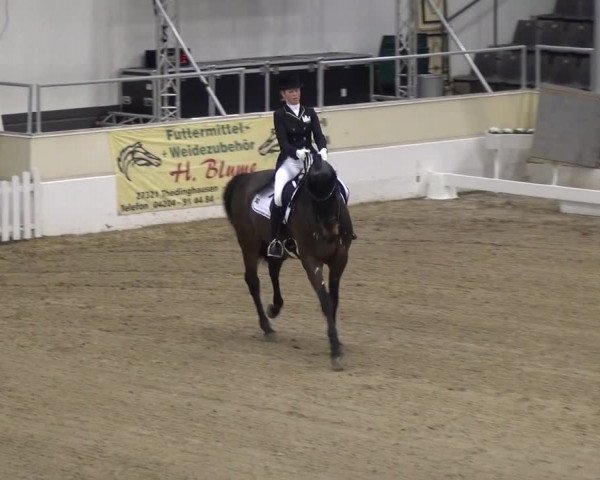 VER-Dinale 2018 - Verdener Hallenreitturnier