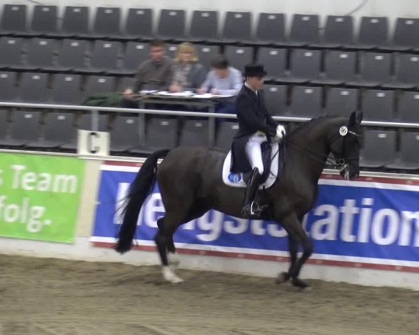 VER-Dinale 2018 - Verdener Hallenreitturnier
