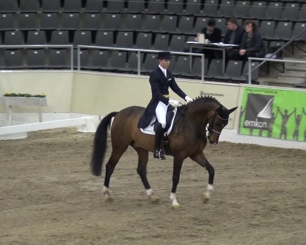 VER-Dinale 2018 - Verdener Hallenreitturnier