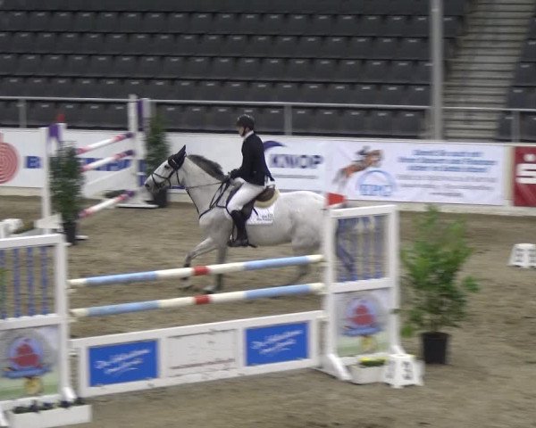 VER-Dinale 2018 - Verdener Hallenreitturnier