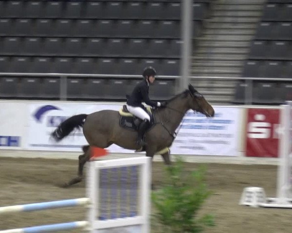 VER-Dinale 2018 - Verdener Hallenreitturnier