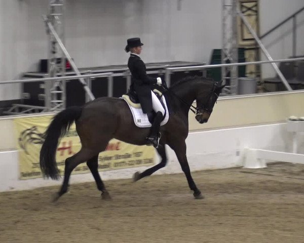 VER-Dinale 2018 - Verdener Hallenreitturnier