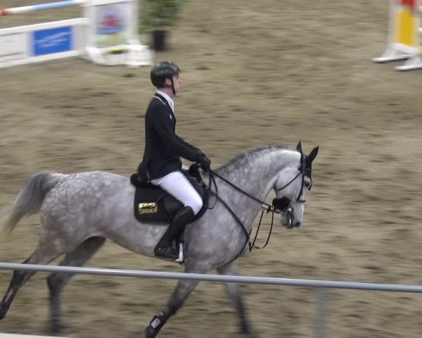 VER-Dinale 2018 - Verdener Hallenreitturnier