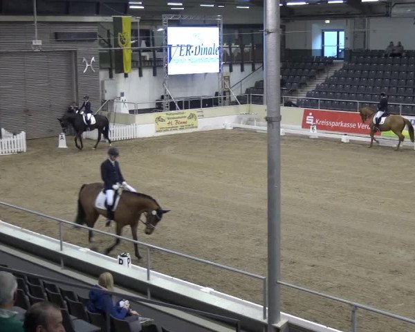 VER-Dinale 2018 - Verdener Hallenreitturnier