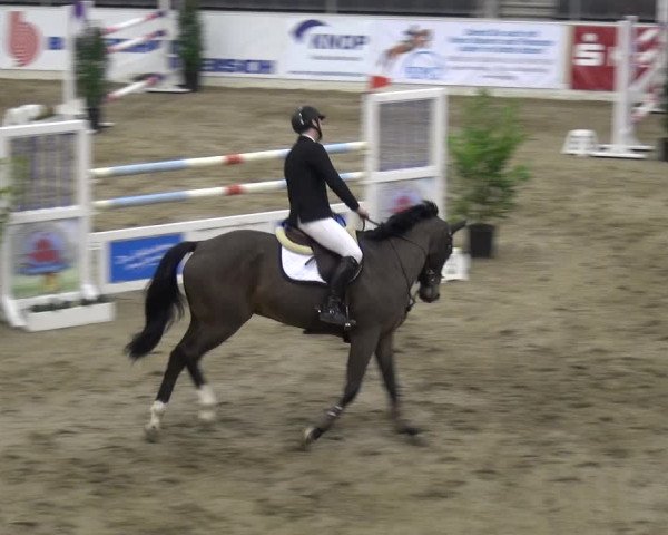 VER-Dinale 2018 - Verdener Hallenreitturnier