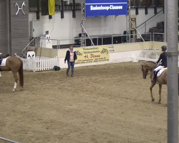 VER-Dinale 2018 - Verdener Hallenreitturnier
