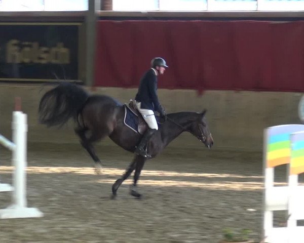 Reitturnier Köln-Leverkusen 2018