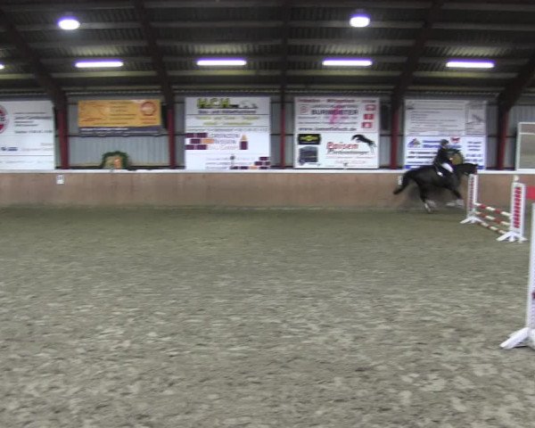 Reitturnier Behrendorf 2018