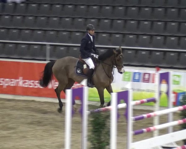 VER-Dinale 2018 - Verdener Hallenreitturnier