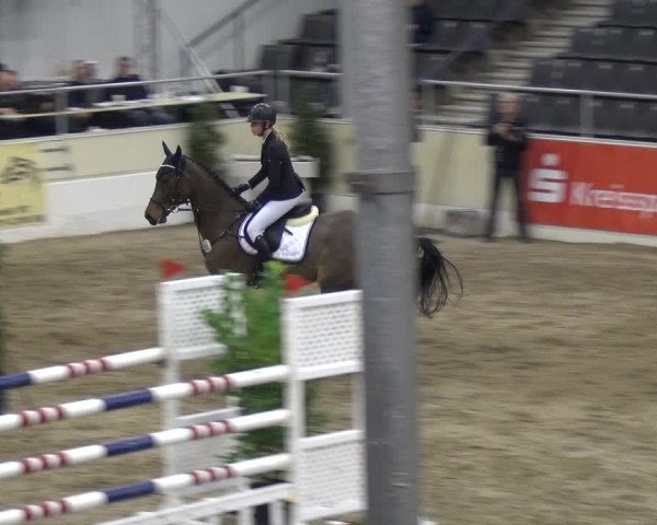 VER-Dinale 2018 - Verdener Hallenreitturnier