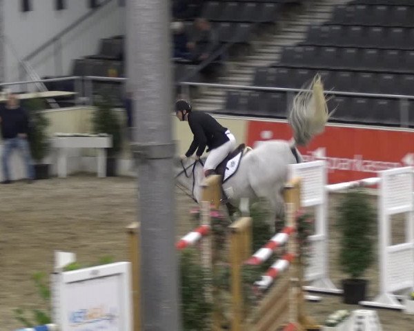 VER-Dinale 2018 - Verdener Hallenreitturnier