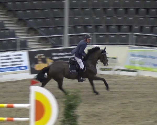 VER-Dinale 2018 - Verdener Hallenreitturnier