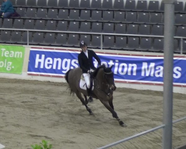 VER-Dinale 2018 - Verdener Hallenreitturnier