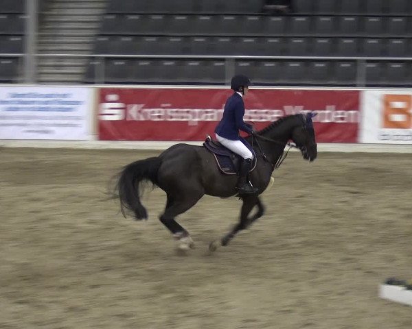 VER-Dinale 2018 - Verdener Hallenreitturnier