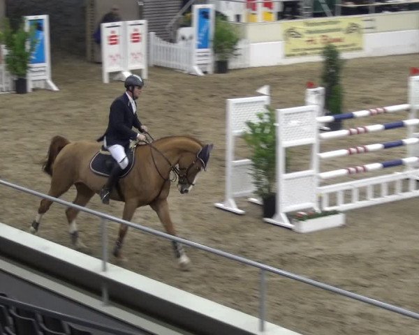 VER-Dinale 2018 - Verdener Hallenreitturnier