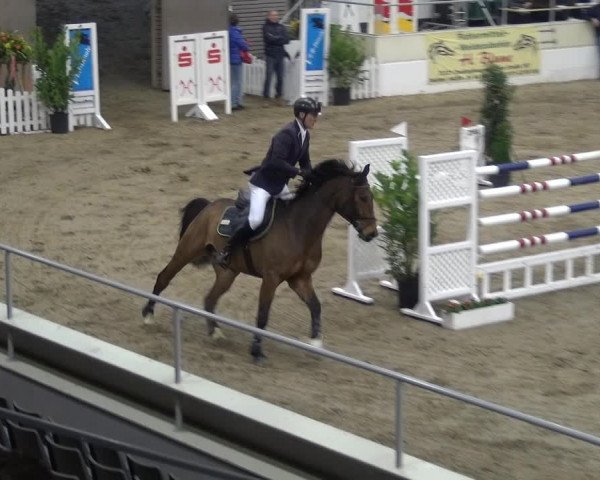 VER-Dinale 2018 - Verdener Hallenreitturnier