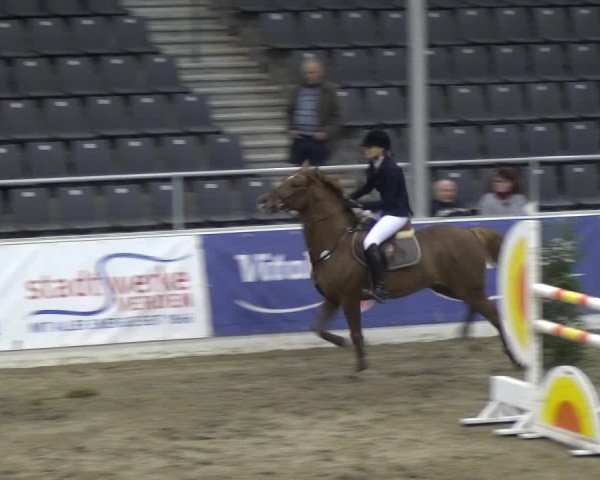 VER-Dinale 2018 - Verdener Hallenreitturnier