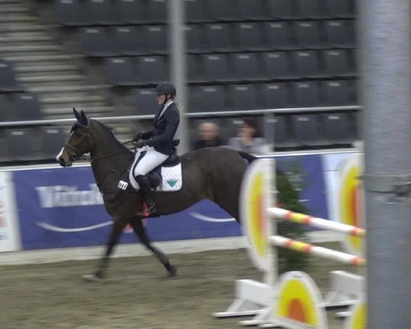 VER-Dinale 2018 - Verdener Hallenreitturnier