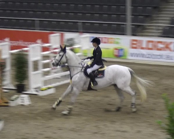VER-Dinale 2018 - Verdener Hallenreitturnier