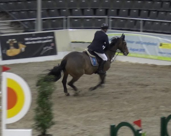 VER-Dinale 2018 - Verdener Hallenreitturnier
