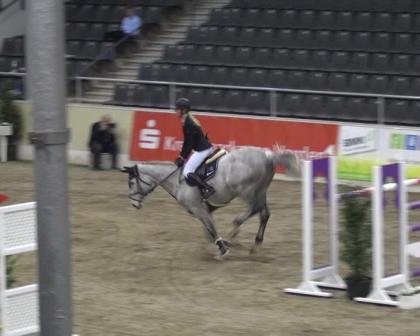 VER-Dinale 2018 - Verdener Hallenreitturnier