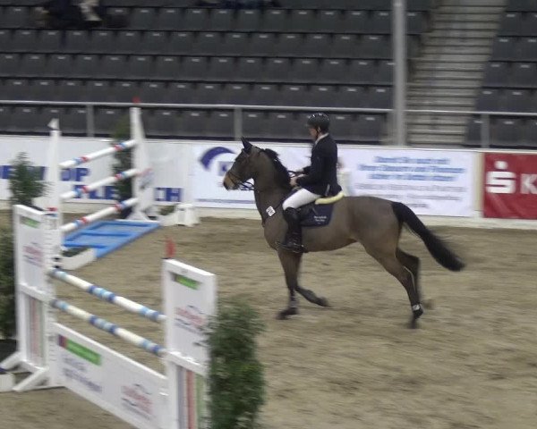 VER-Dinale 2018 - Verdener Hallenreitturnier