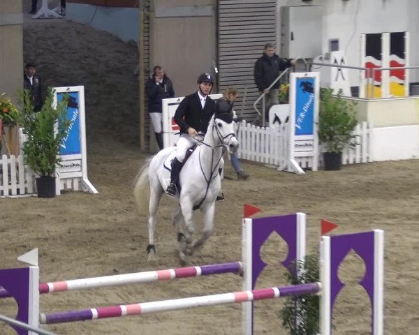 VER-Dinale 2018 - Verdener Hallenreitturnier