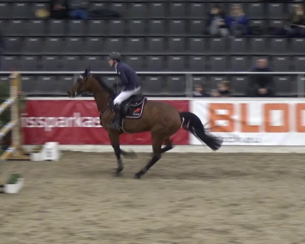 VER-Dinale 2018 - Verdener Hallenreitturnier