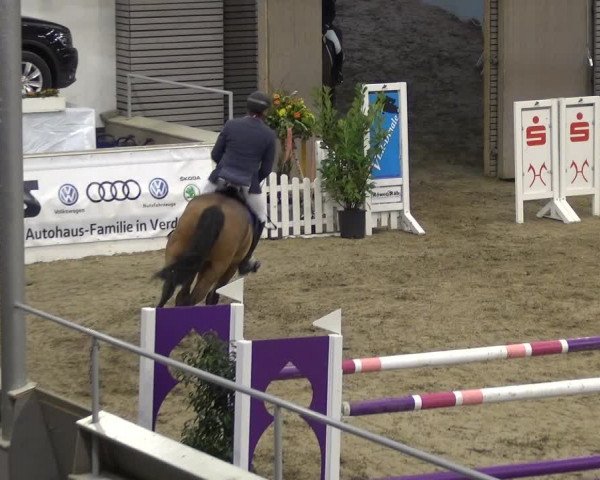 VER-Dinale 2018 - Verdener Hallenreitturnier