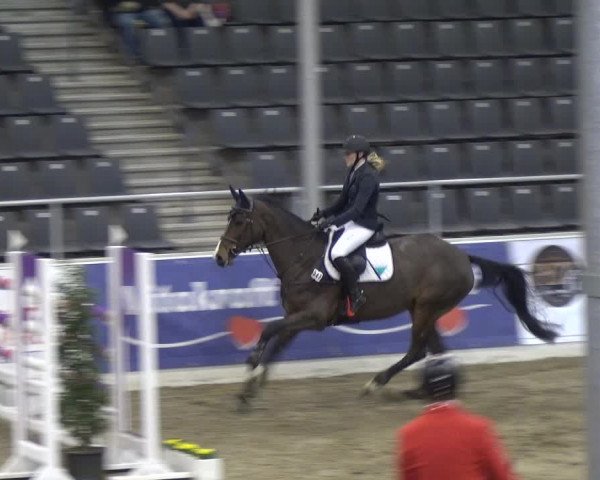 VER-Dinale 2018 - Verdener Hallenreitturnier