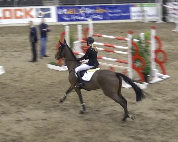 VER-Dinale 2018 - Verdener Hallenreitturnier