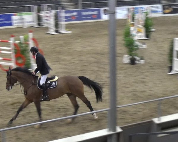 VER-Dinale 2018 - Verdener Hallenreitturnier
