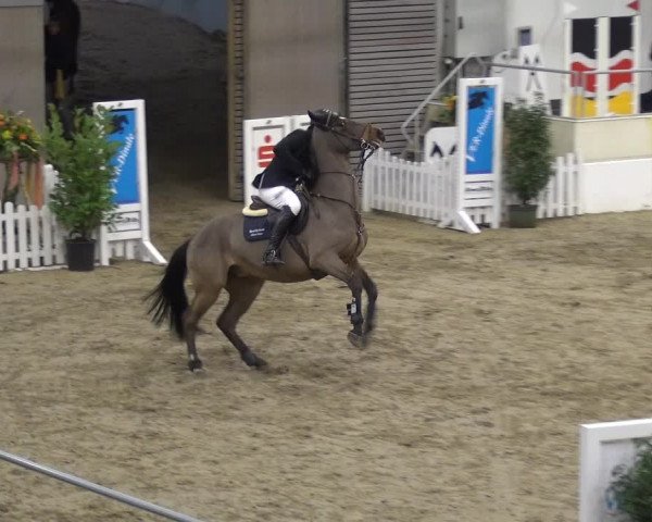 VER-Dinale 2018 - Verdener Hallenreitturnier