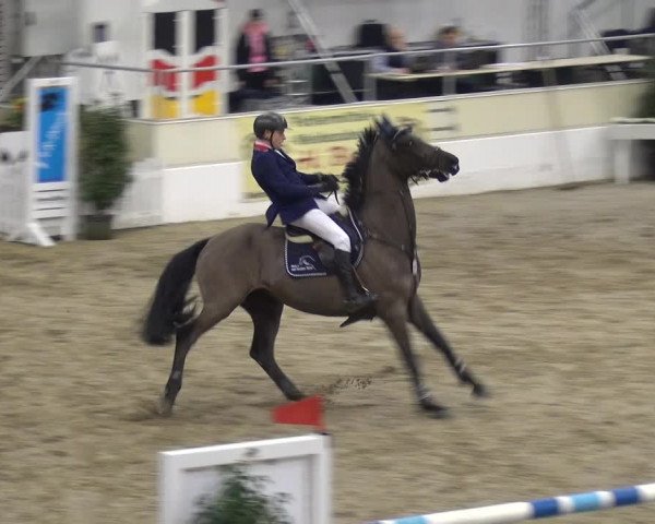 VER-Dinale 2018 - Verdener Hallenreitturnier