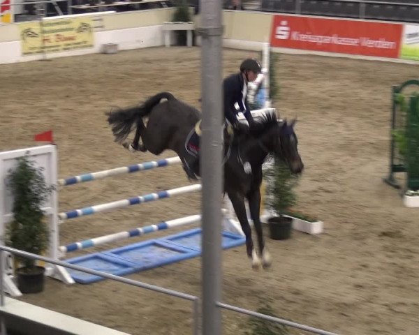 VER-Dinale 2018 - Verdener Hallenreitturnier
