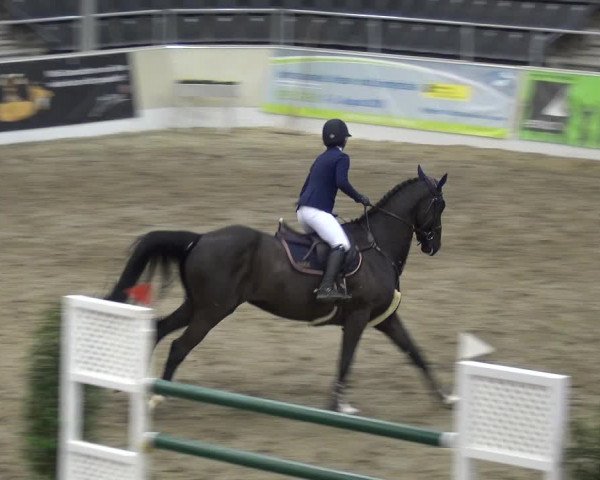 VER-Dinale 2018 - Verdener Hallenreitturnier