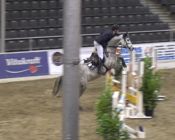 VER-Dinale 2018 - Verdener Hallenreitturnier
