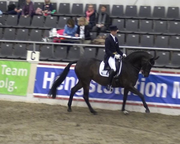 VER-Dinale 2018 - Verdener Hallenreitturnier