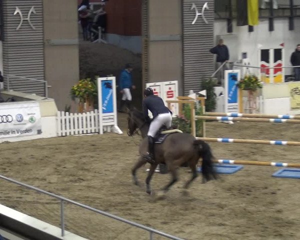 VER-Dinale 2018 - Verdener Hallenreitturnier