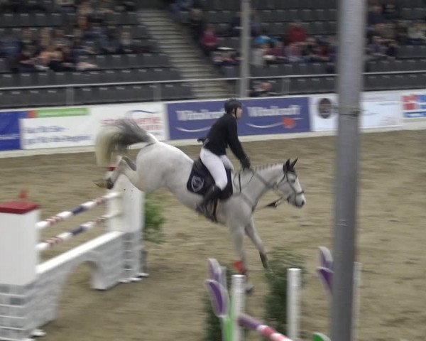 VER-Dinale 2018 - Verdener Hallenreitturnier